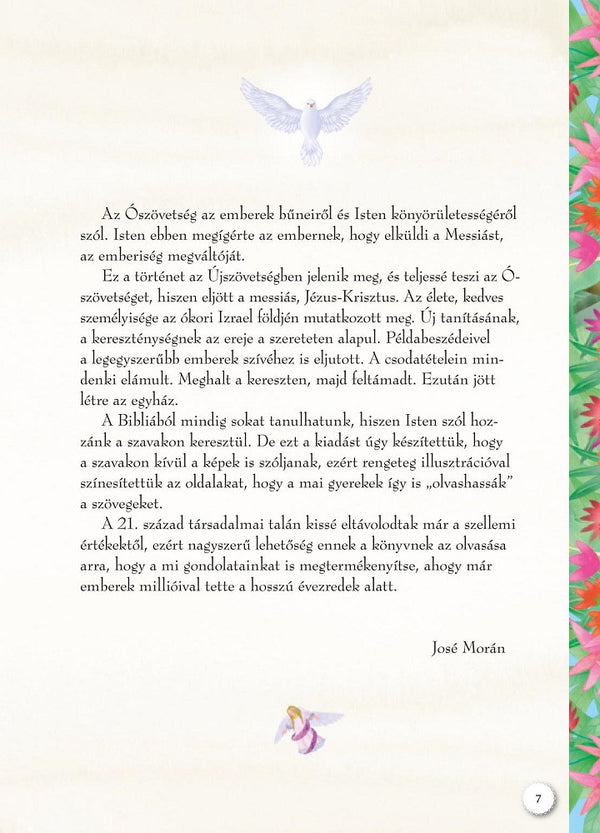 Történetek a Bibliából gyerekeknek - könyv