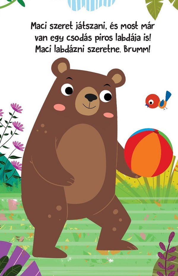 Hangos cimborák - Maci és barátai könyv