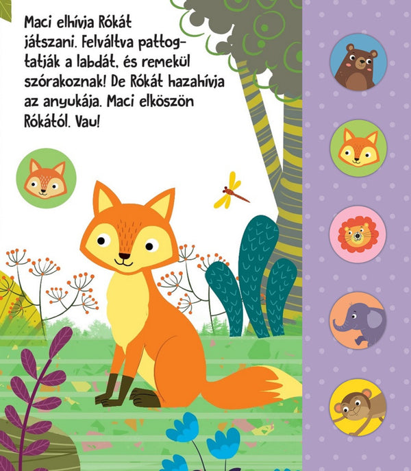 Hangos cimborák - Maci és barátai könyv