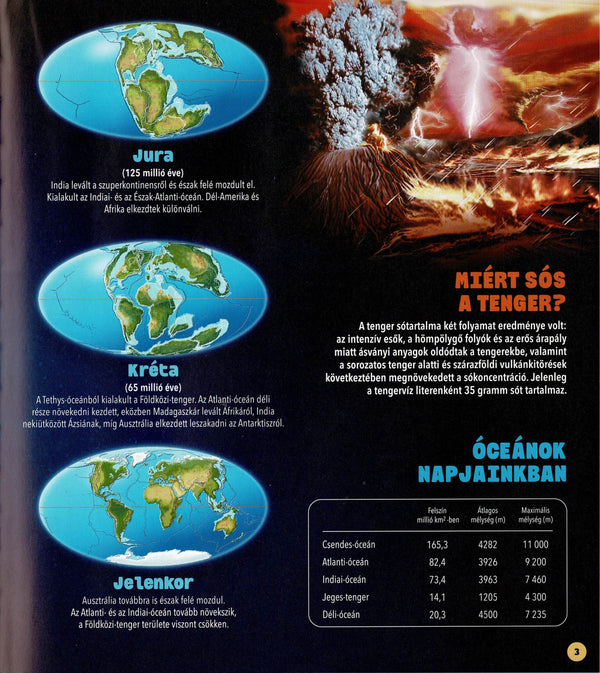 Dioráma - Tengeri állatvilág könyv