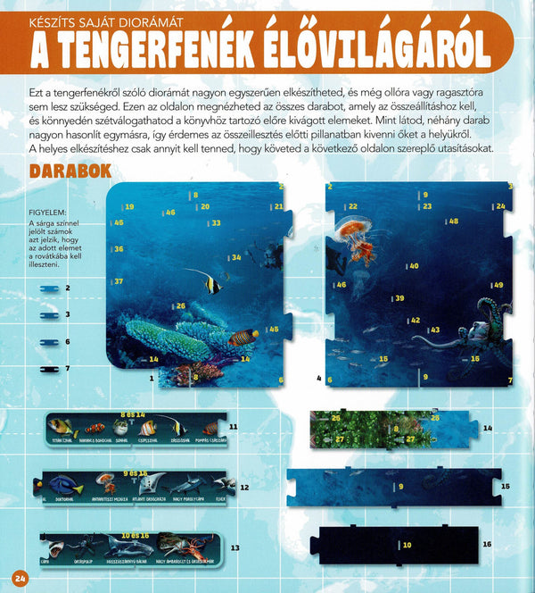 Dioráma - Tengeri állatvilág könyv