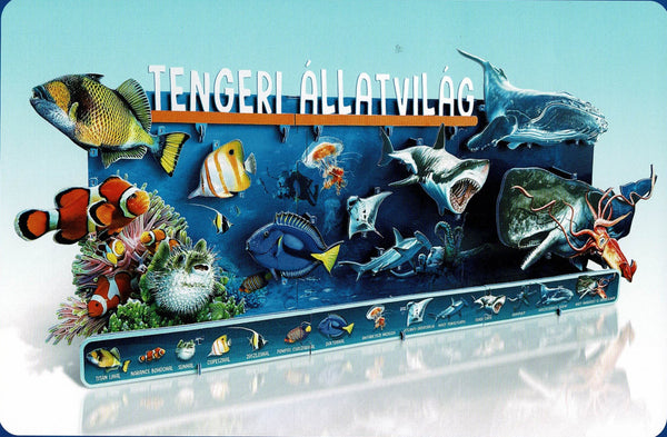 Dioráma - Tengeri állatvilág könyv