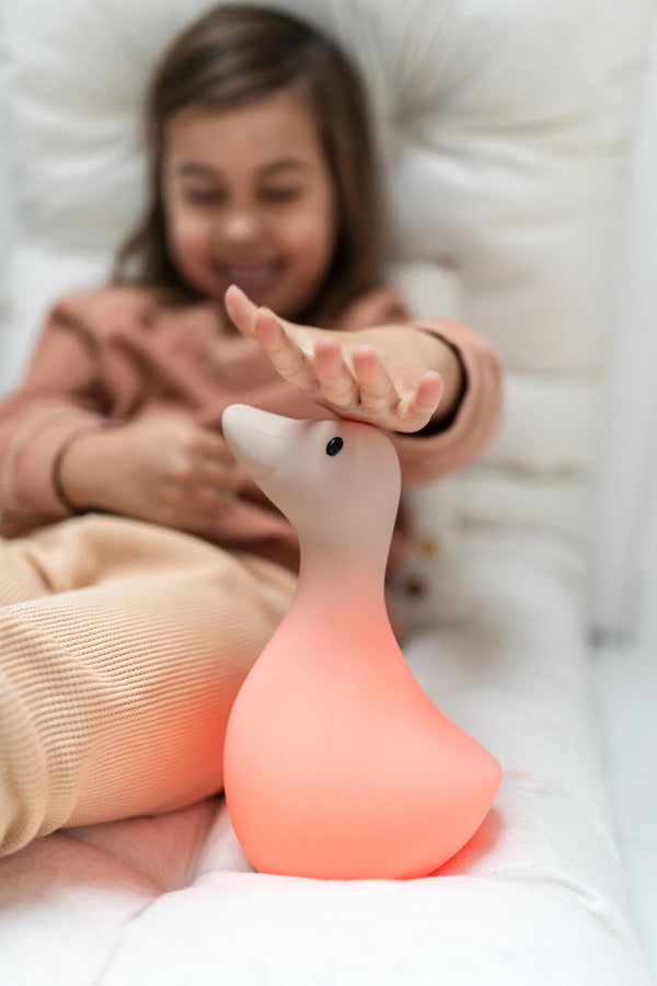 Flow Amsterdam – LIVA színváltós éjjeli fény