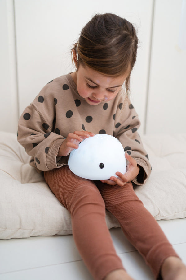 Flow Amsterdam – MOBY kivetítő