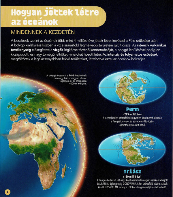 Dioráma - Tengeri állatvilág könyv