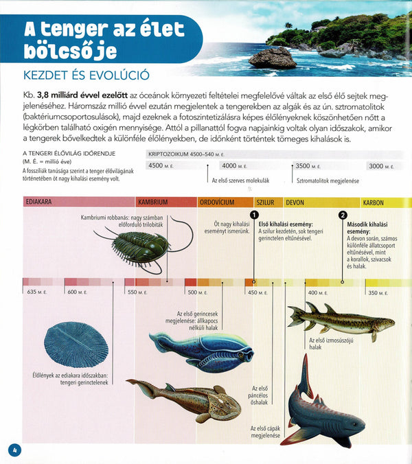 Dioráma - Tengeri állatvilág könyv