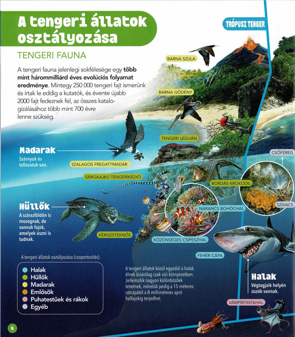 Dioráma - Tengeri állatvilág könyv