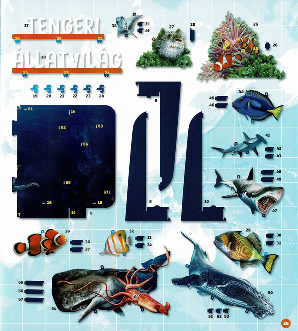 Dioráma - Tengeri állatvilág könyv