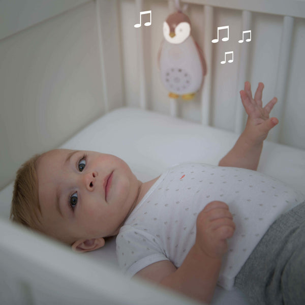 Zazu – ZOE music box és éjjeli fény